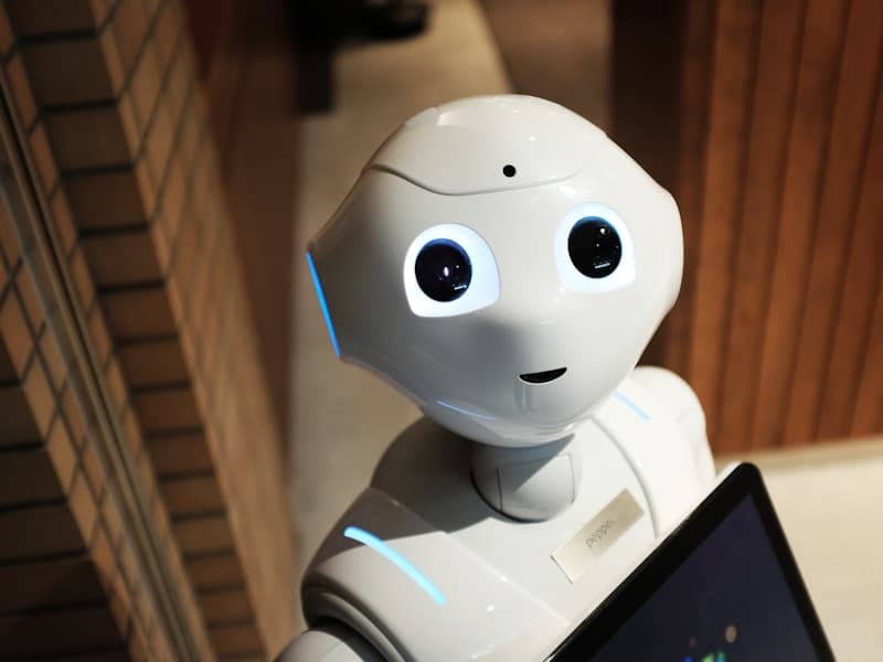 Robotics Engineer